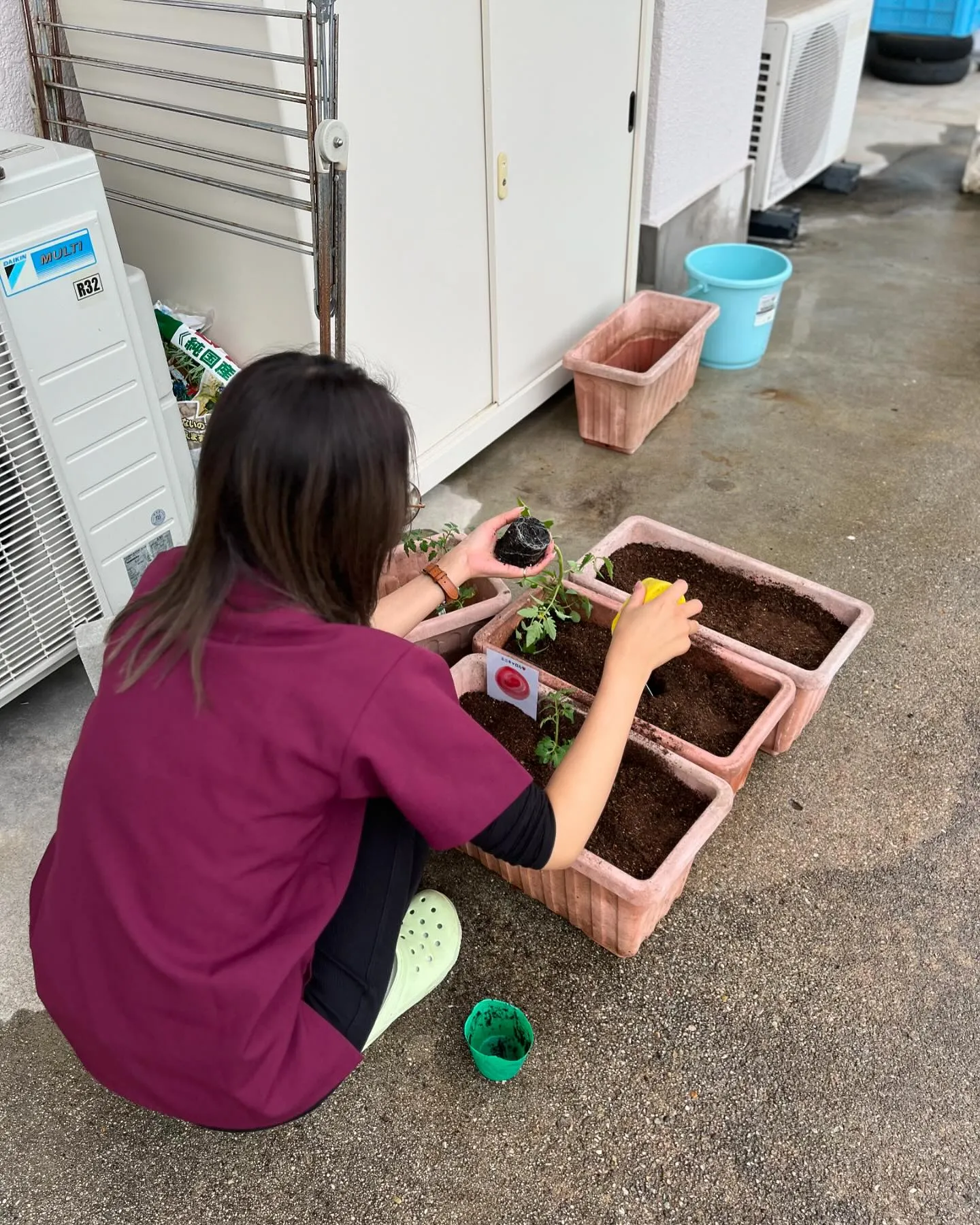 🍅トーマス菜園始めました🍅