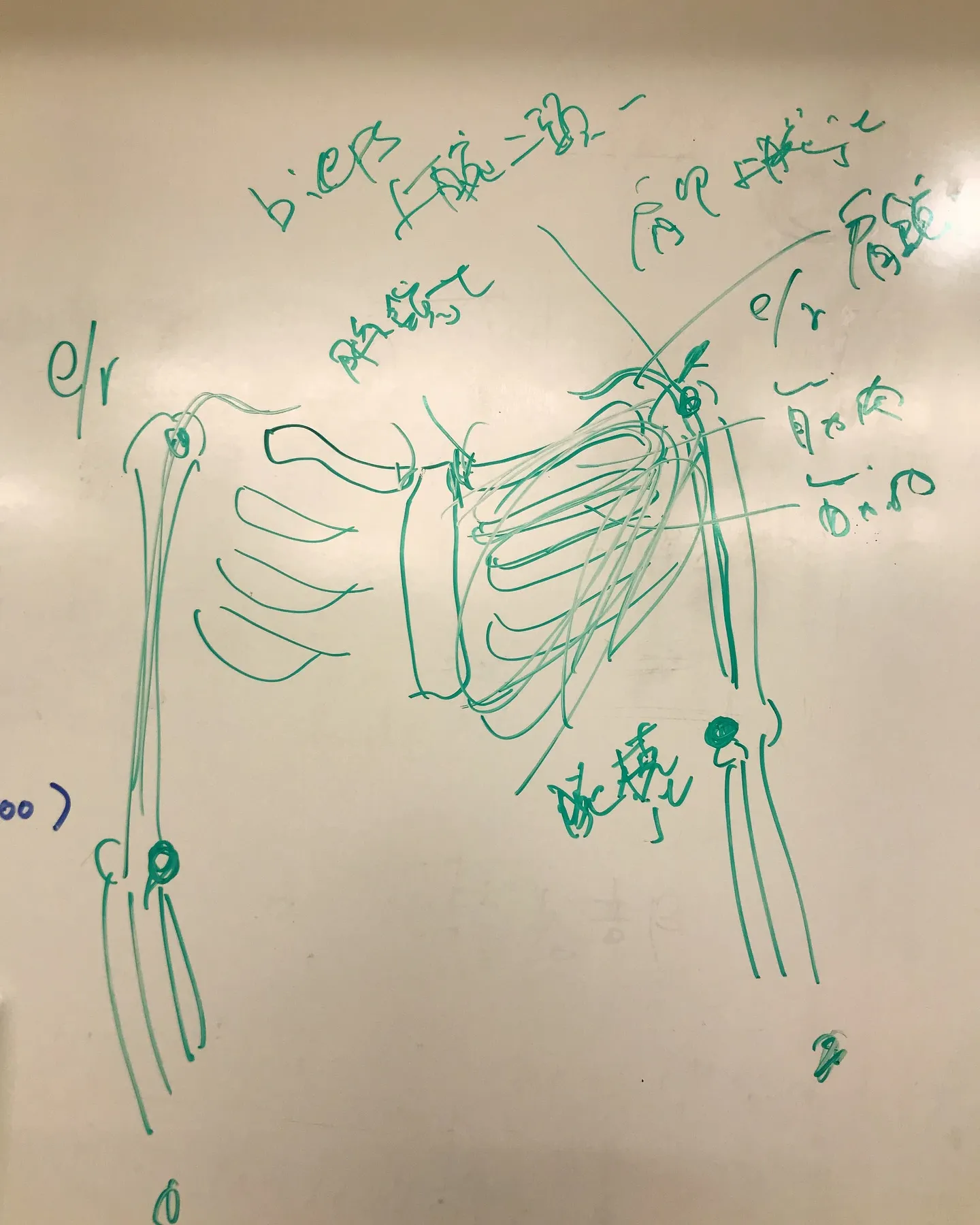 症例検討をしました📝