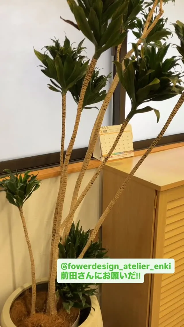 🌱テーマ：ともに育つ🌱